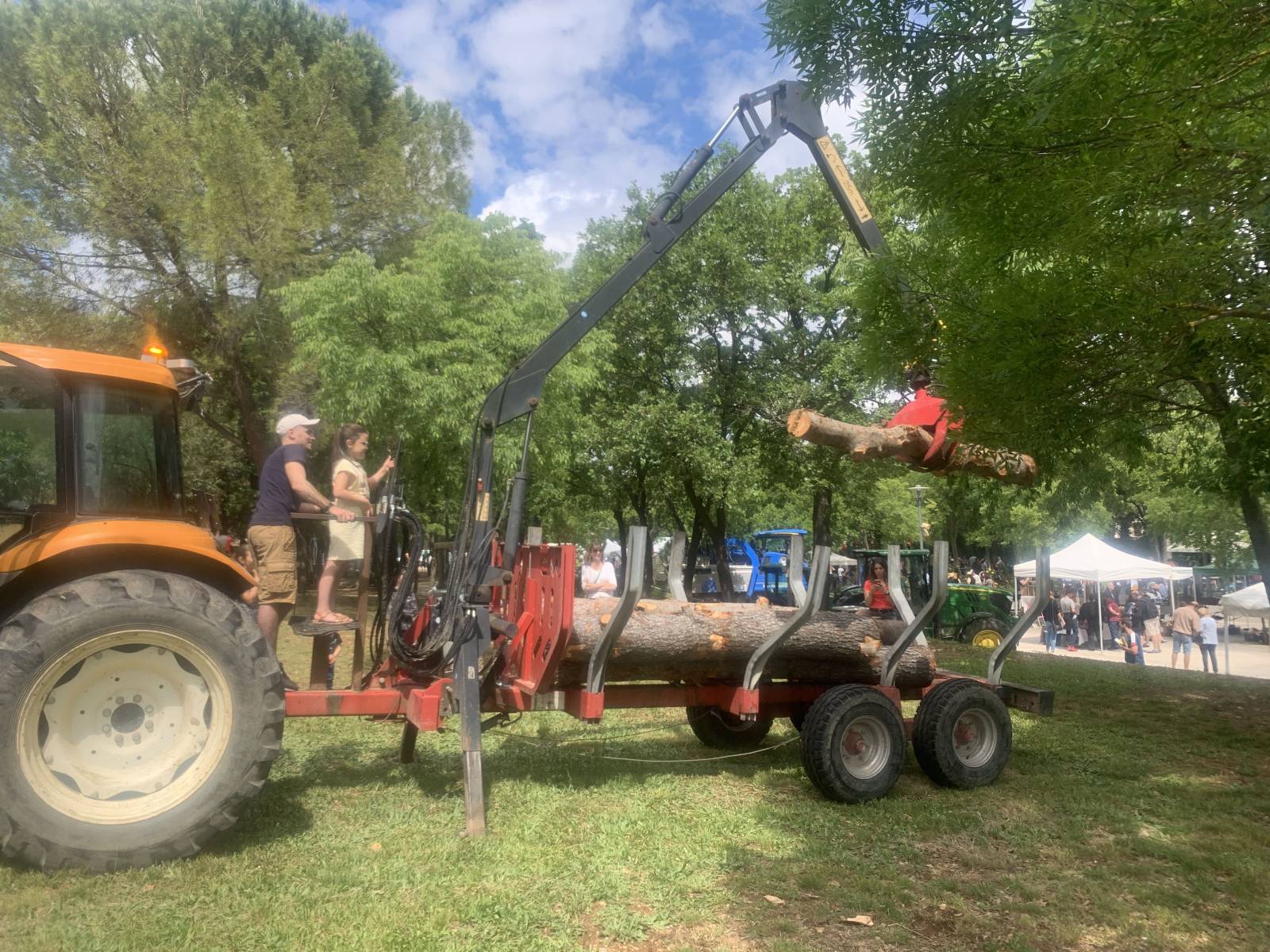 grutage de grumes  saint gély du fesc hérault
